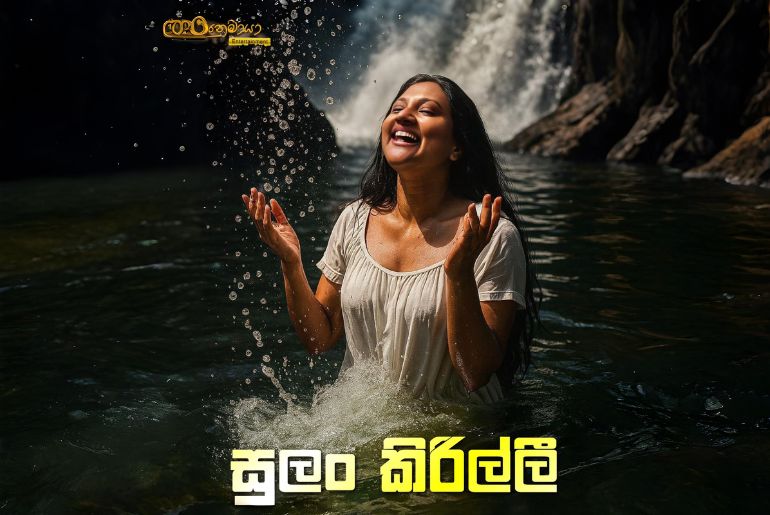 සුළං කිරිල්ලී